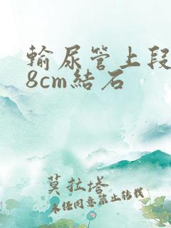 输尿管上段0.8cm结石