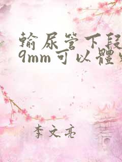 输尿管下段结石9mm可以体外碎石吗