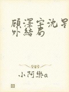 顾泽宇沈星晚番外结局