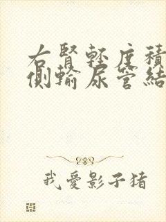 右肾轻度积水右侧输尿管结石