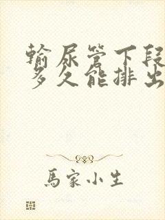 输尿管下段结石多久能排出