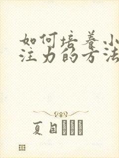 如何培养小孩专注力的方法