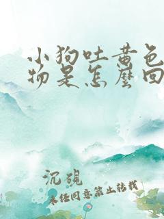 小狗吐黄色粘稠物是怎么回事