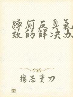 蹲厕反臭气最有效的解决办法