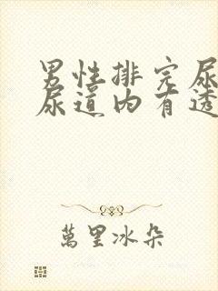 男性排完尿后,尿道内有透明液体