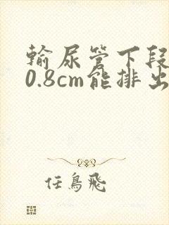 输尿管下段结石0.8cm能排出来吗