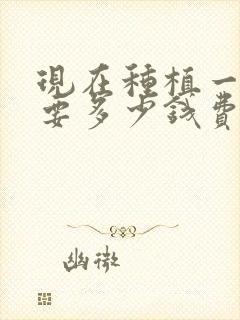 现在种植一颗牙要多少钱费用