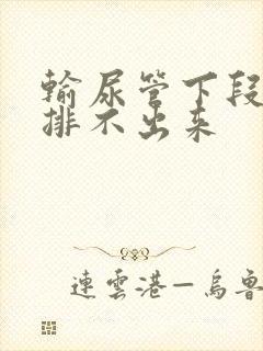 输尿管下段结石排不出来