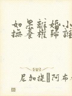 如果离婚小孩的抚养权归谁