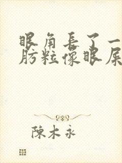 眼角长了一粒脂肪粒像眼屎