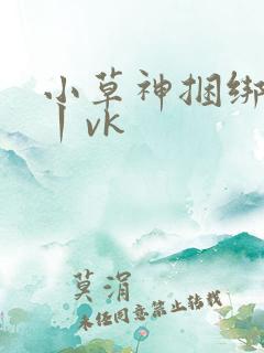 小草神捆绑电击丨vk