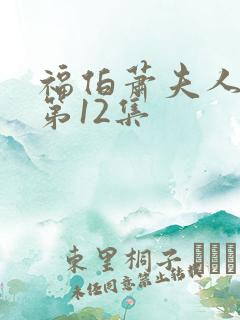 福伯萧夫人番外第12集