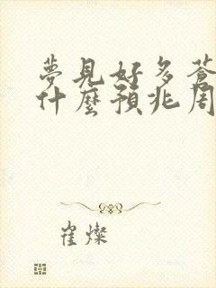 梦见好多苍蝇是什么预兆周公解梦