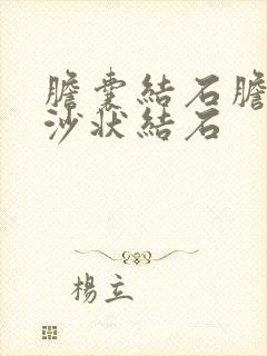 胆囊结石胆囊泥沙状结石