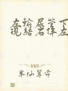 左输尿管下段出现结石伴左肾轻度积水