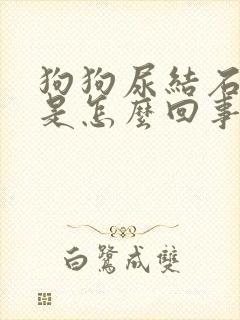 狗狗尿结石尿血是怎么回事