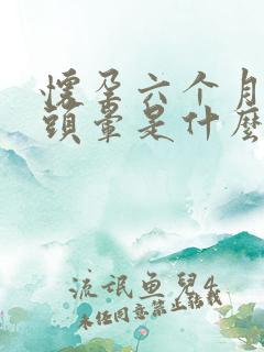 怀孕六个月经常头晕是什么原因引起的