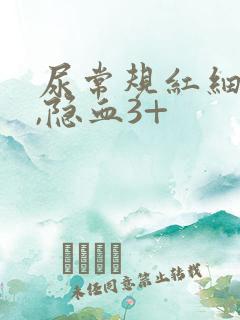 尿常规红细胞高,隐血3+