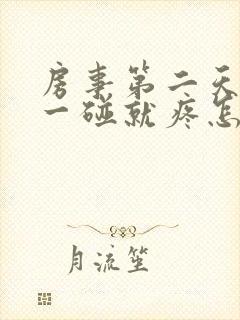 房事第二天阴道一碰就疼怎么回事