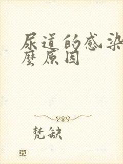 尿道的感染是什么原因