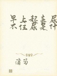 早上起来尿急憋不住尿是什么原因