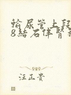 输尿管上段0.8结石伴肾积水