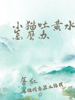 小猫吐黄水拉稀怎么办