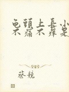 龟头上长小疙瘩不痛不痒是怎么回事