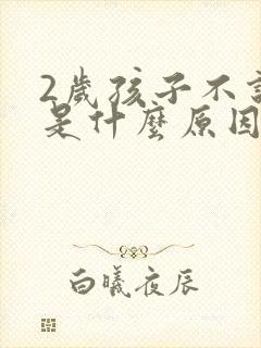 2岁孩子不说话是什么原因