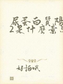 尿蛋白质阳性+2是什么意思