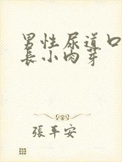 男性尿道口两侧长小肉芽