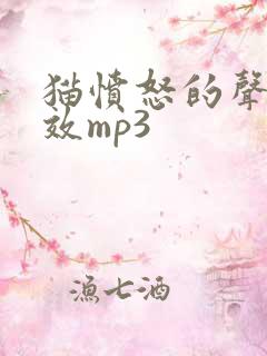 猫愤怒的声音音效mp3