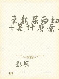 孕期尿白细胞2+是什么意思