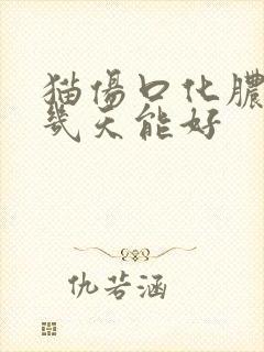 猫伤口化脓一般几天能好