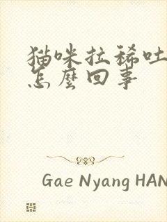 猫咪拉稀吐黄水怎么回事