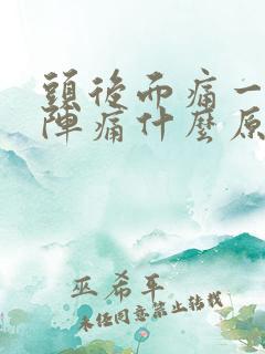 头后面痛一阵一阵痛什么原因