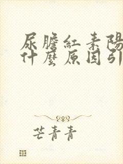 尿胆红素阳性是什么原因引起的