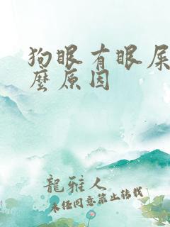 狗眼有眼屎是什么原因