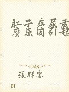 肚子疼尿黄是什么原因引起的