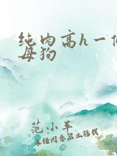 纯肉高h一条骚母狗