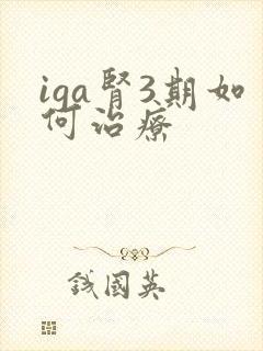 iga肾3期如何治疗