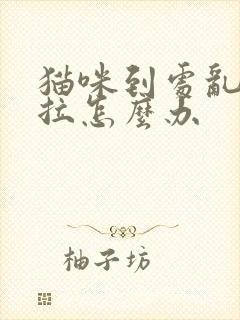 猫咪到处乱尿乱拉怎么办