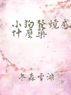 小狗发烧感冒用什么药