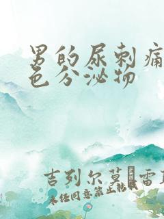 男的尿刺痛有白色分泌物