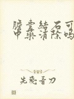 胆囊结石可以吃中药消除吗