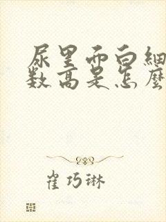 尿里面白细胞计数高是怎么回事