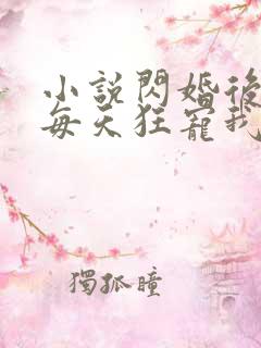 小说闪婚后大叔每天狂宠我免费阅读