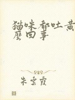 猫咪都吐黄水怎么回事