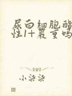 尿白细胞酯酶阳性1+严重吗