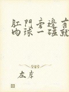 肛门旁边有个小肉球一碰就疼